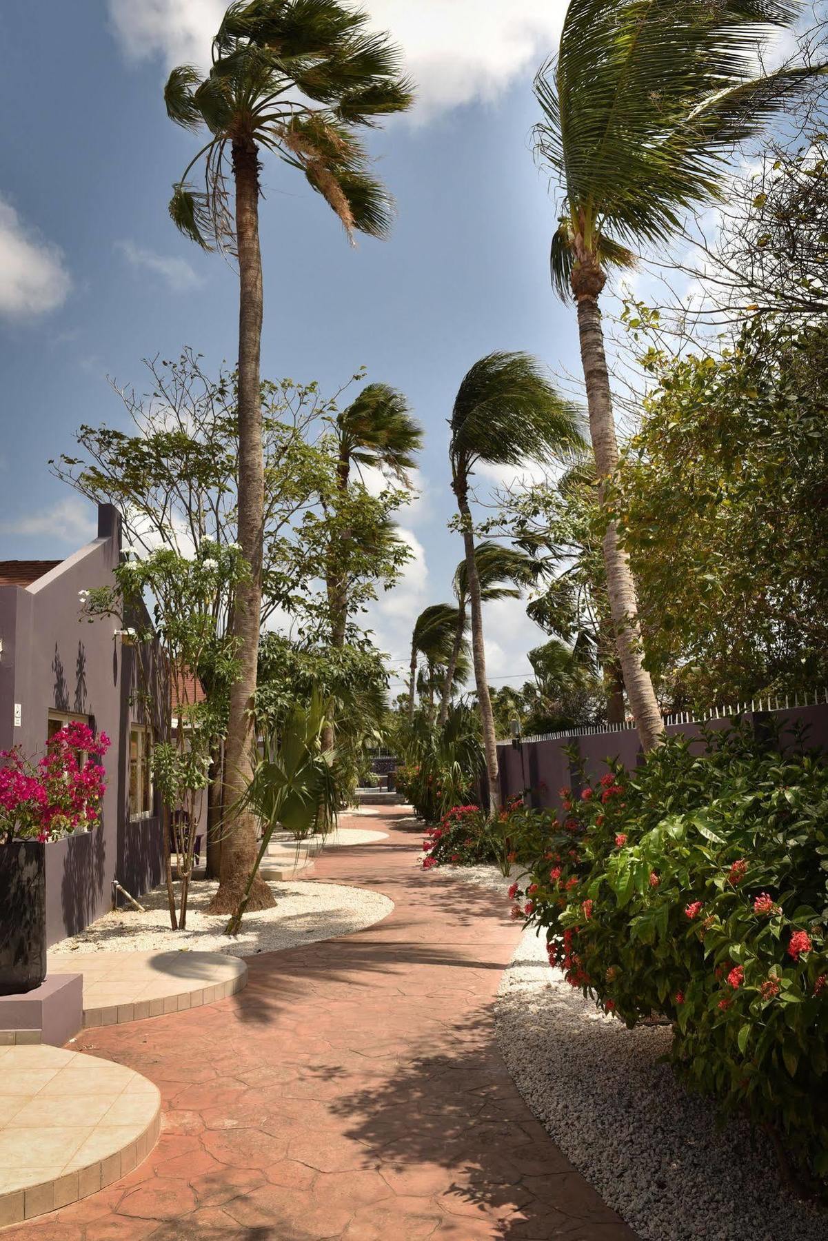 Cadushi Apartments Oranjestad Exterior photo