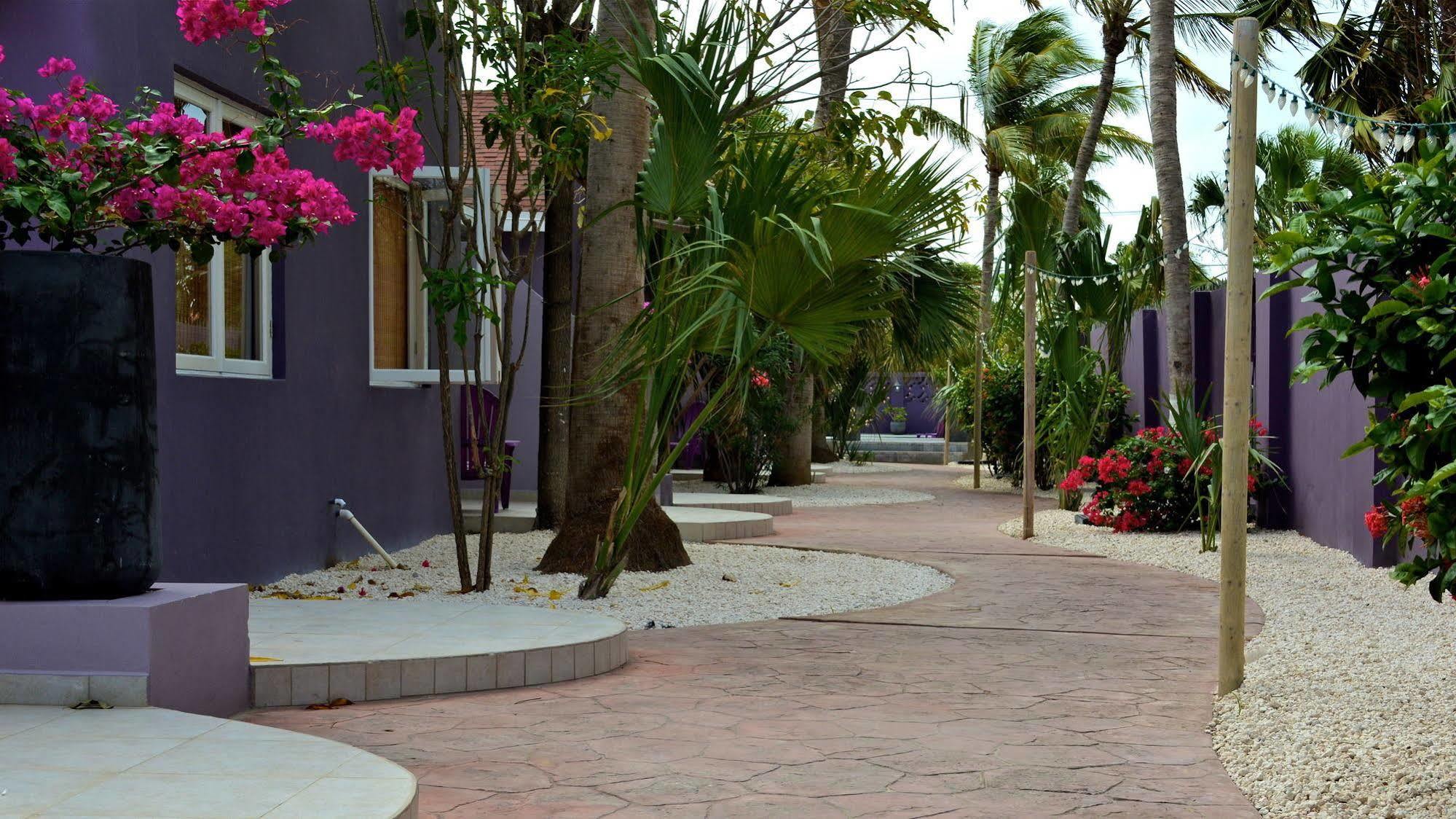 Cadushi Apartments Oranjestad Exterior photo